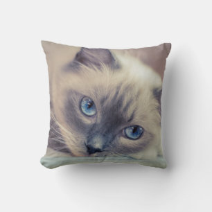 Stunning Blue Eyed Ragdoll‎ Cat Cushion