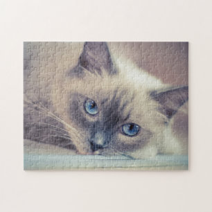 Stunning Blue Eyed Ragdoll Cat Jigsaw Puzzle
