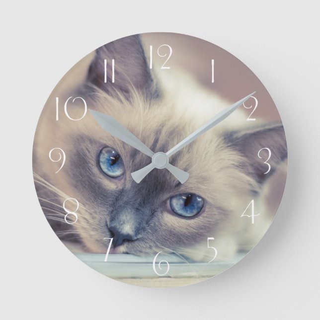 Stunning Blue Eyed Ragdoll‎ Cat Round Clock (Front)
