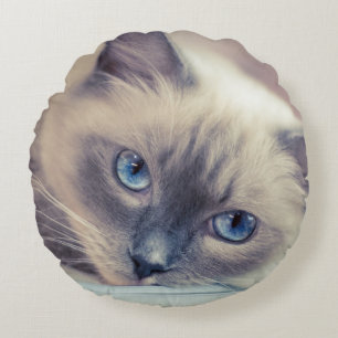 Stunning Blue Eyed Ragdoll‎ Cat Round Cushion