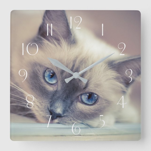 Stunning Blue Eyed Ragdoll‎ Cat Square Wall Clock (Front)