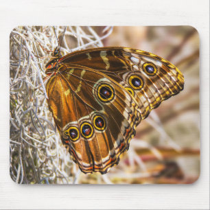 Stunning Blue Morpho Butterfly Wildlife Photo Art Mouse Pad