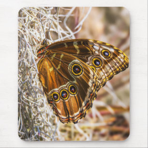 Stunning Blue Morpho Butterfly Wildlife Photo Art Mouse Pad