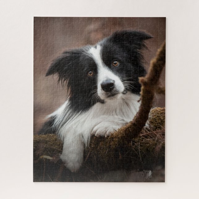 Stunning Border Collie Portrait Jigsaw Puzzle (Vertical)