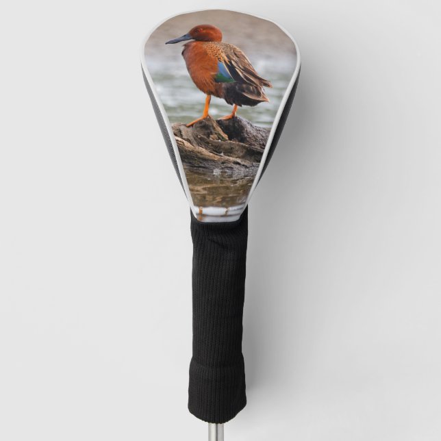 Stunning Cinnamon Teal Duck on Rock Golf Head Cover (Front)