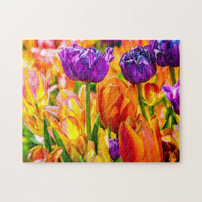Stunning Colourful Charming Tulip Flowers Jigsaw Puzzle (Horizontal)