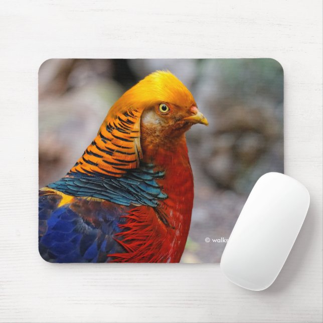 Stunning Colourful Red Golden Pheasant Gamebird Mouse Pad (With Mouse)