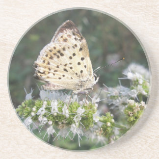 Stunning Cream and Chocolate Butterfly Coaster