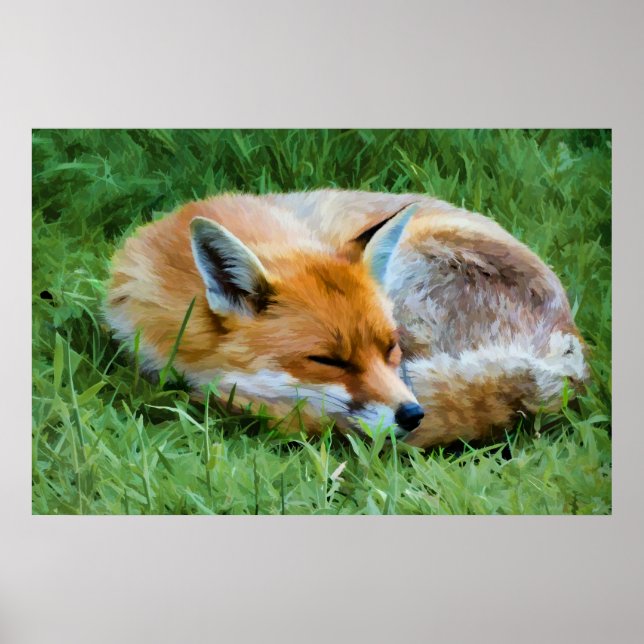 Stunning digital painting of a sleeping fox poster (Front)