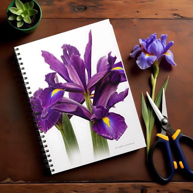 Stunning Dutch Iris Purple Sensation Flower Notebook (Stunning Dutch Iris Purple Sensation Journal Cover Photo)