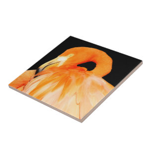 Stunning Flamingo Bird in the Summer Sun Ceramic Tile