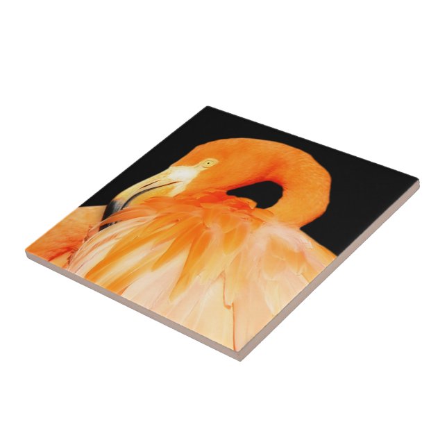 Stunning Flamingo Bird in the Summer Sun Ceramic Tile (Side)