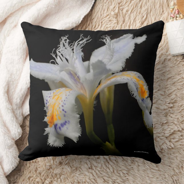 Stunning Floral Crested Iris Japonica Flower Cushion (Blanket)