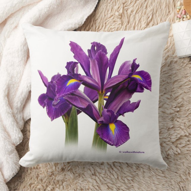 Stunning Floral Dutch Iris Purple Sensation Cushion (Blanket)