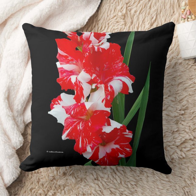 Stunning Floral Red & White Gladiolus Sword Lilies Cushion (Blanket)