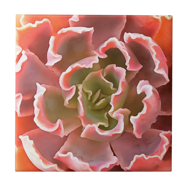 Stunning Garden Succulent Pink Tones Realistic Art Ceramic Tile (Front)