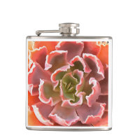 Stunning Garden Succulent Pink Tones Realistic Art
