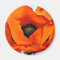 Stunning Georgia O'Keeffe Red Poppy