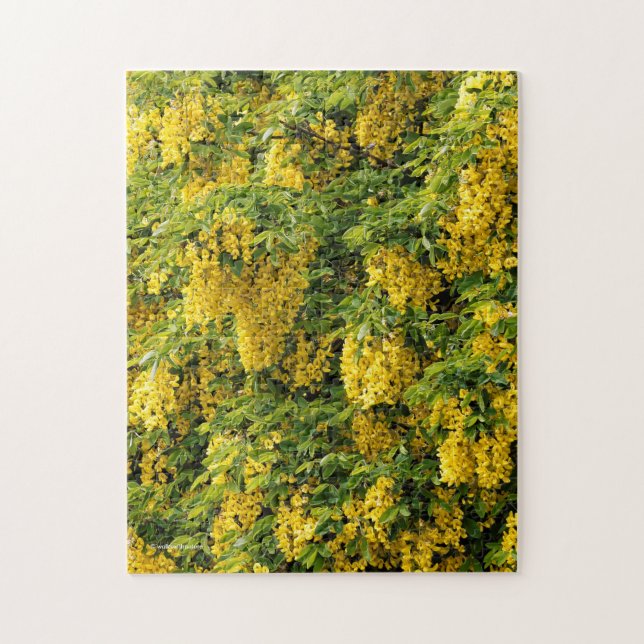 Stunning Golden Chain / Laburnum Tree Jigsaw Puzzle (Vertical)