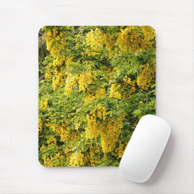 Stunning Golden Chain / Laburnum Tree Mouse Pad (With Mouse)