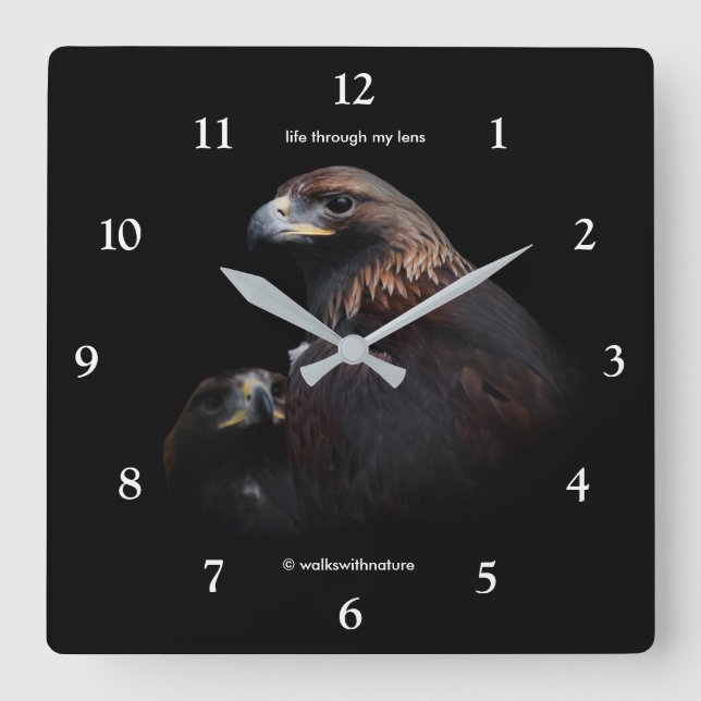 Stunning Golden Eagles Beauties Thru the Bars Square Wall Clock (Front)