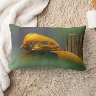 Stunning Golden Pheasant Gamebird Lumbar Cushion