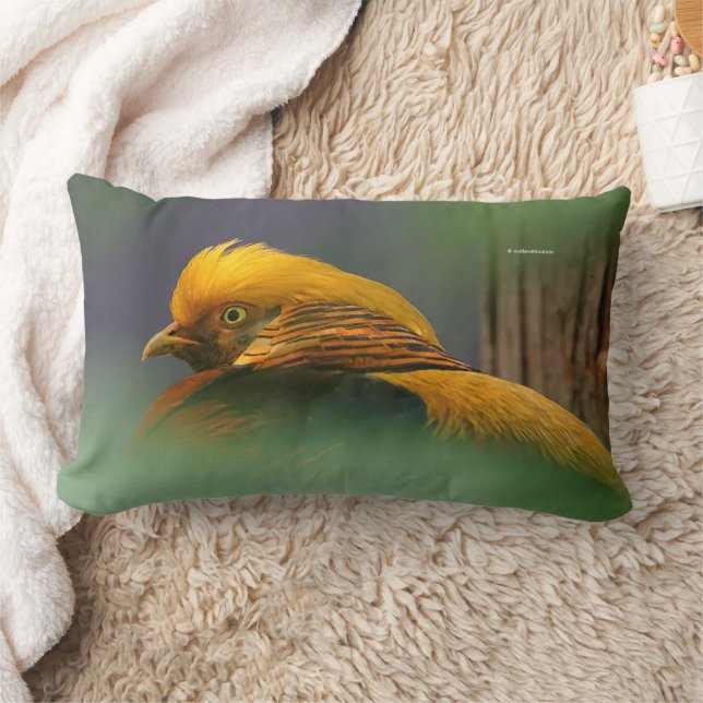 Stunning Golden Pheasant Gamebird Lumbar Cushion (Blanket)