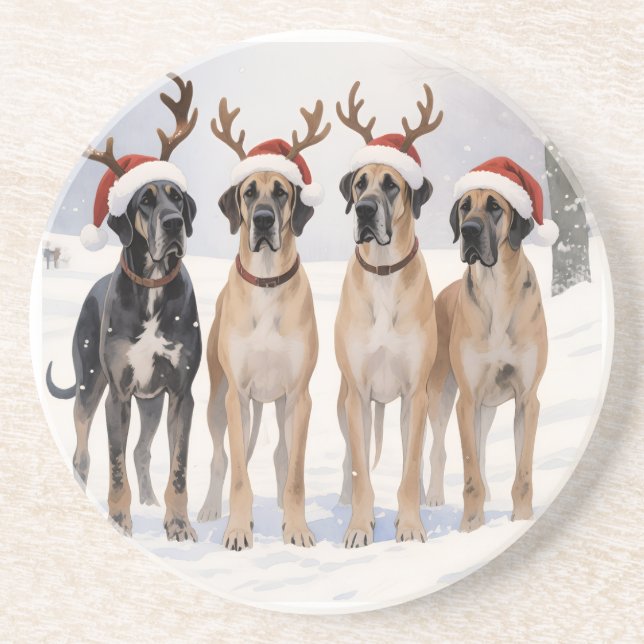 Stunning Great Dane  Coaster (Front)