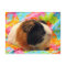 Stunning Guinea Pig Postcard