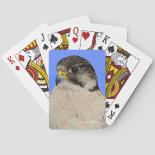 Stunning Gyrfalcon Saker Hybrid Falcon Playing Cards
