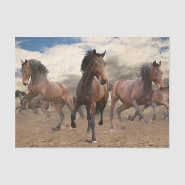 Stunning Herd Of Horses Tissue Paper (Front)