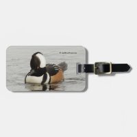 Stunning Hooded Merganser Duck at the Pond