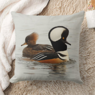 Stunning Hooded Merganser Ducks at Winter Pond Cushion