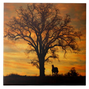 Stunning Horse and Oak Tree Nature Southwestern Ceramic Tile