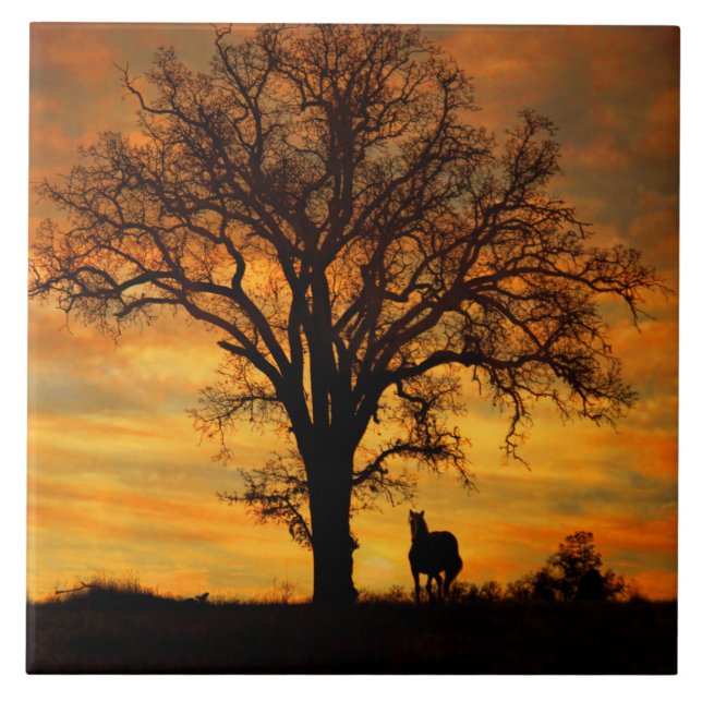 Stunning Horse and Oak Tree Nature Southwestern Ceramic Tile (Front)