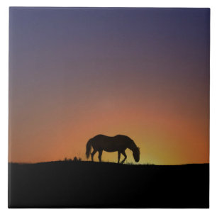 Stunning Horse Art Tile