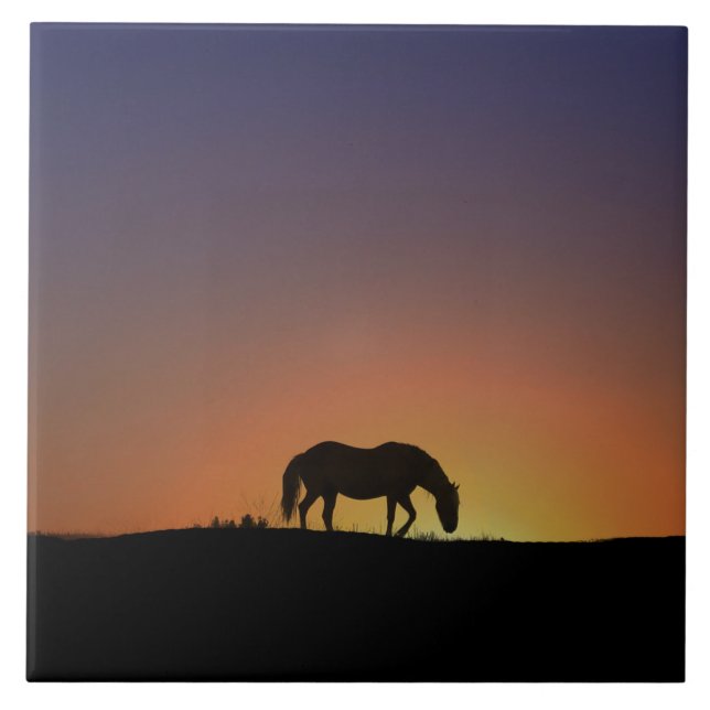 Stunning Horse Art Tile (Front)