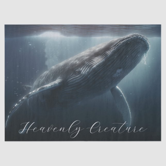 Stunning Humpback Whale Tissue Paper (Front)