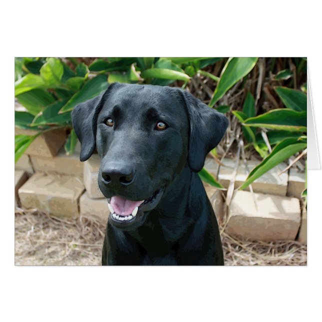 Stunning lab with great message! (Front Horizontal)