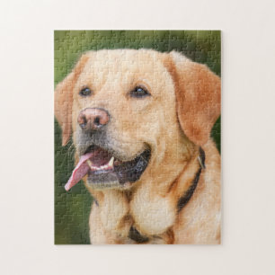 Stunning Labrador Jigsaw Puzzle