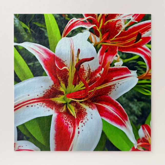 Stunning lilies jigsaw puzzle (Vertical)