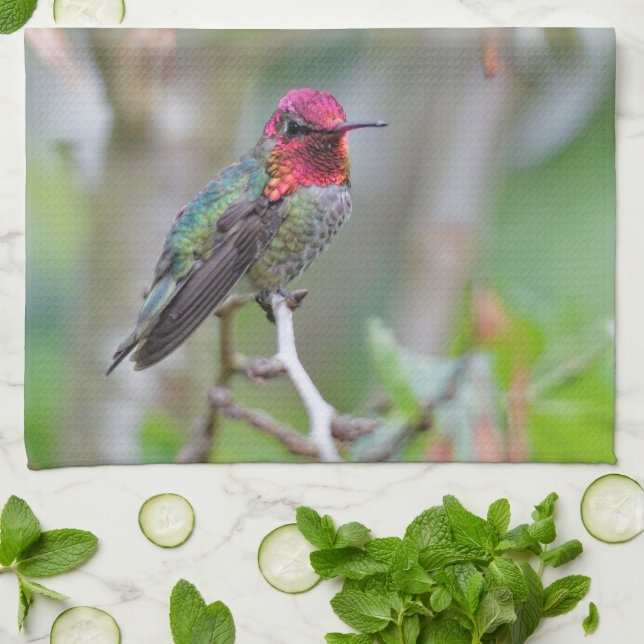 Stunning Male Anna's Hummingbird in Plum Tree Tea Towel (Folded)