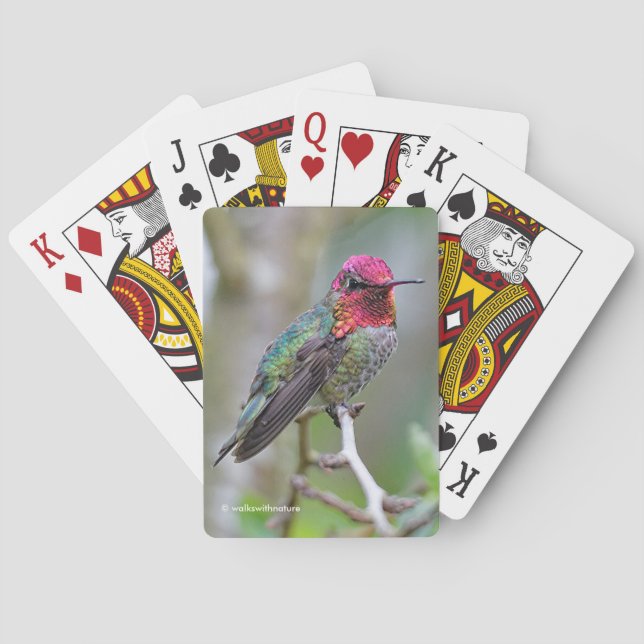 Stunning Male Anna's Hummingbird on the Plum Tree Playing Cards (Back)