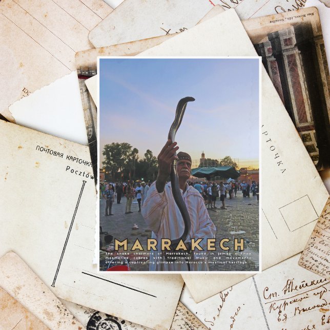 Stunning Marrakech Medina Snake Charmer Postcard (Creator Uploaded)