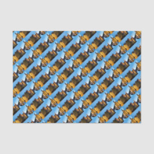 Stunning! Mediaeval Bruges - Pro Photo Tissue Paper
