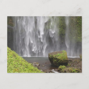 Stunning Oregon Waterfall Postcard