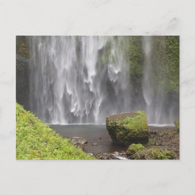 Stunning Oregon Waterfall Postcard (Front)
