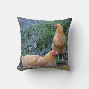 Stunning Orpington Hen Pillow