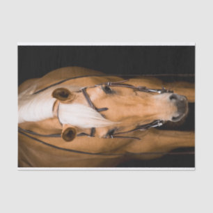 Stunning palomino horse tissue paper