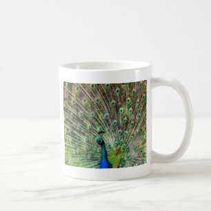 Stunning Peacock  and feathers photo accessories Coffee Mug